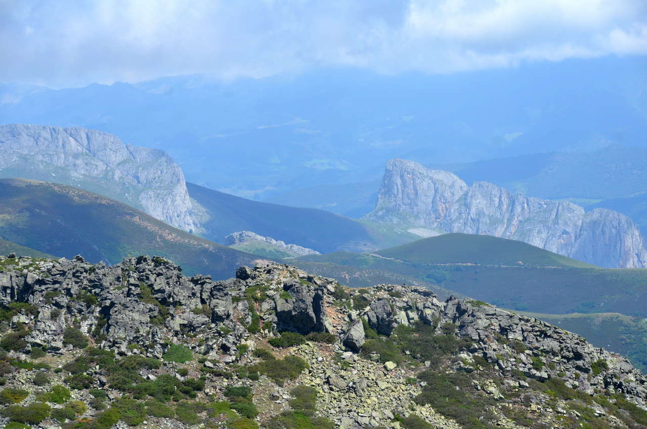 A 2019-07-14 11-57-35